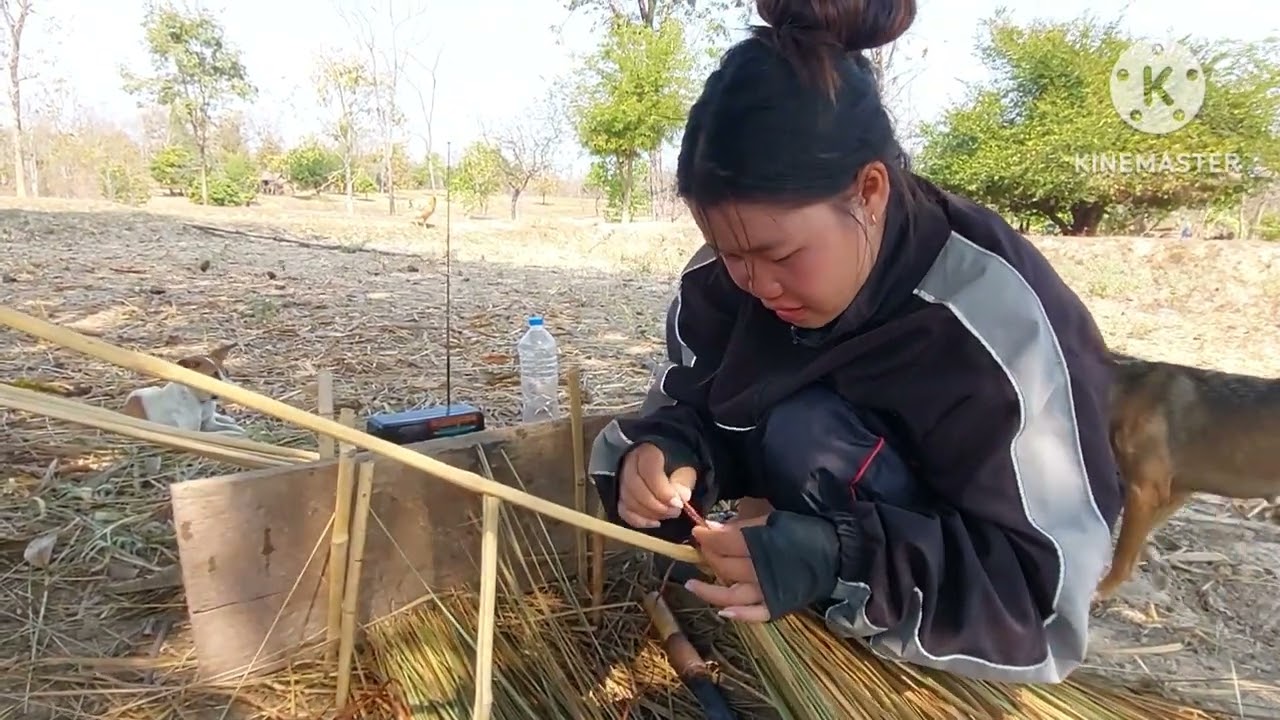 วิธีชีวิตน้องน้อย 25 กุมภาพันธ์ ค.ศ. 2026