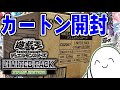Yu-Gi-Oh! Official Card Game] Unboxing 24 