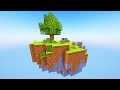 a skyblock player's first day (Hypixel Skyblock)