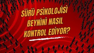 Sürü Psi̇koloji̇si̇ Beyni̇ni̇ Nasil Etki̇li̇yor?