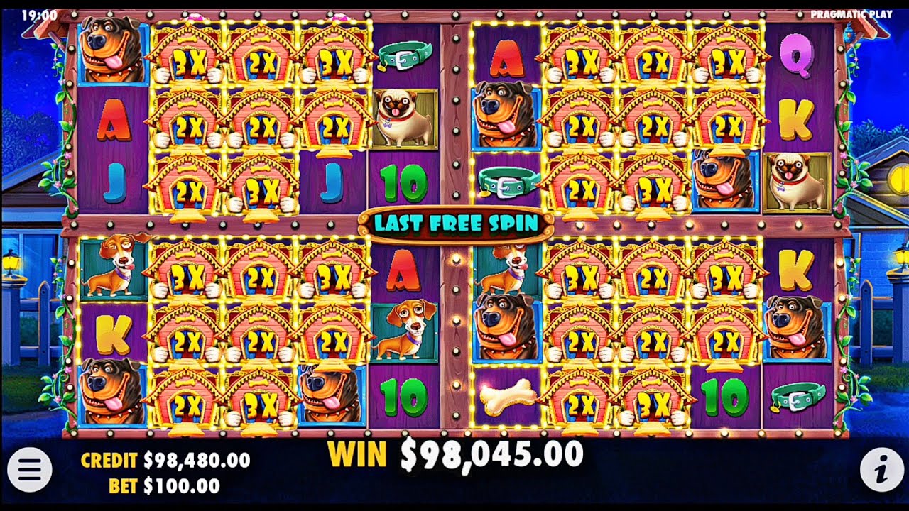 THE DOG HOUSE MULTIHOLD🐕 CRAZY BIG WIN!! PRAGMATIC PLAY!! ️ YouTube