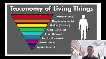 Plant Identification & Evolution Part 2 : Phylogenetics, Cladograms, Synapomorphies