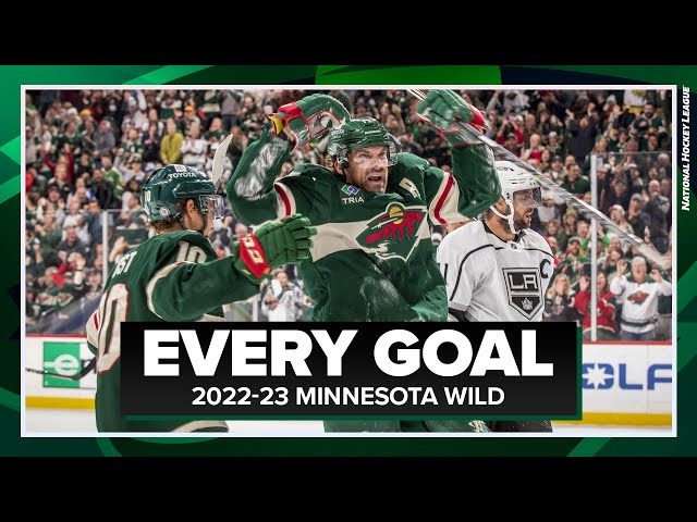 Minnesota Wild, NHL