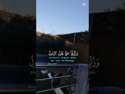 ما تيسر من سورةالبقرة Islamicvideo ا المصحف القرآن الكريم راحة نفسية Islamicstatus Shortvideo