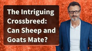 The Intriguing Crossbreed: Can Sheep and Goats Mate?