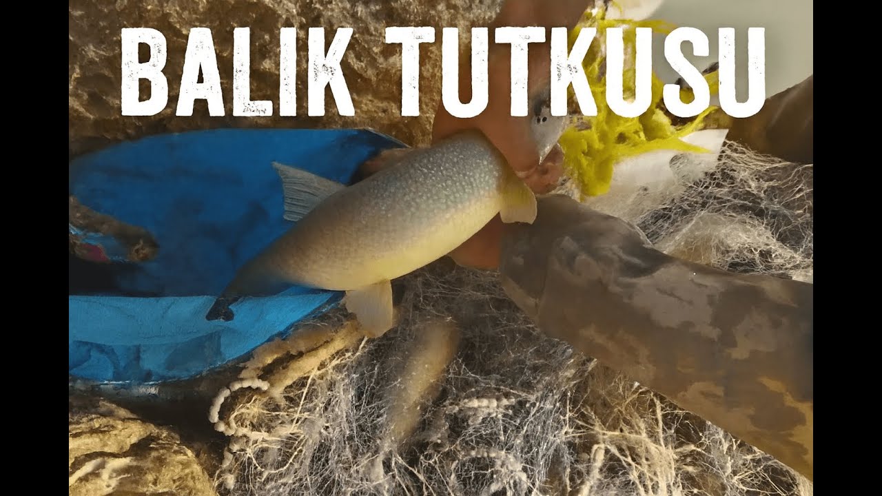 Serpme ağı atma tekniği.  Monster Trucks...