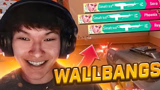SINATRAA IS THE MASTER OF WALLBANGS 