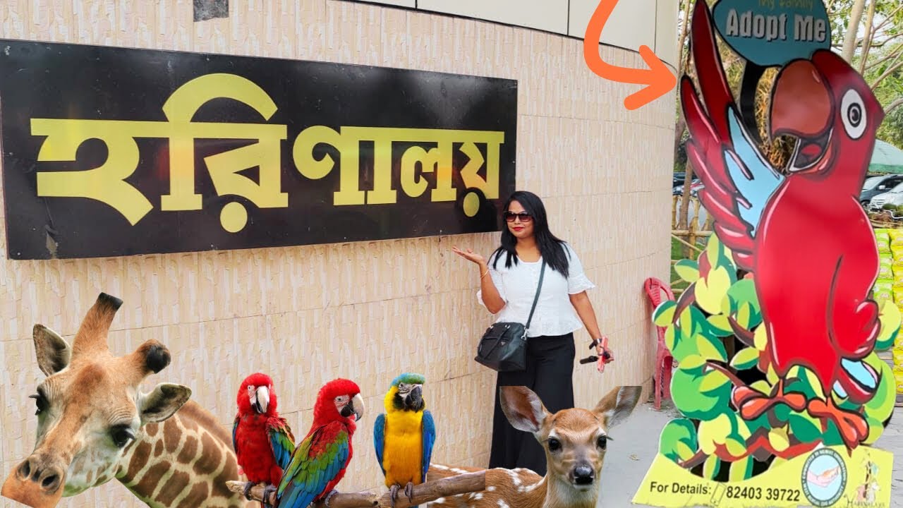 পাখি নিতে চান ফ্রি তে Phone Number👆 Harinalaya Mini Zoo Eco Park Deer