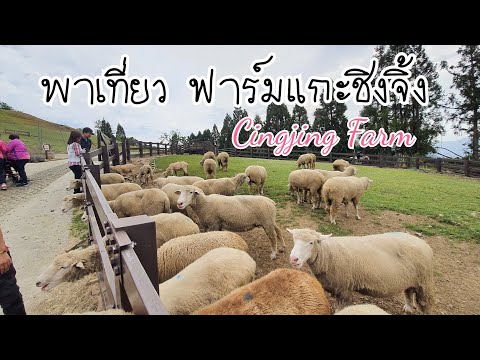 Ep.7 พาเที่ยว ฟาร์มแกะชิงจิ้ง|Cingjing Farm|สวิตเซอร์แลนด์แห่งไต้หวัน