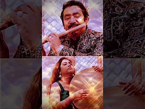 Silk Collective with talented @roshni Saha #gujaratinews #lifeisbutadream #song #love