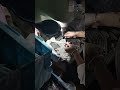 Production Video of CAIYI Hardware Fittings #hardwarefactory