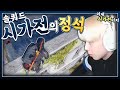 시가전 무지성 푸시의 달인