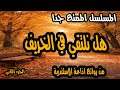 حصريا المسلسل الممتع جدا هل نلتقي في الخريف الجزء الثاني من روائع اذاعة الاسكندرية 