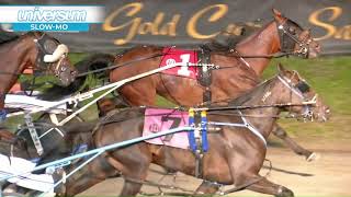 CDP 2021 September 3 R10