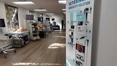 The Future of Vet Training: ESS Veterinary Skills Center | Hybrid Learning & Surgical Simulation