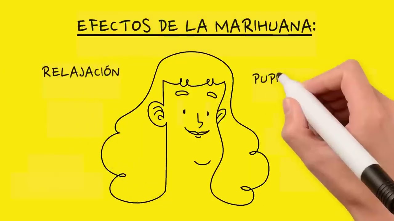 CÓMO FUNCIONA LA MARIHUANA  