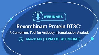 Recombinant Protein DT3C: A Convenient Tool for Antibody Internalization Analysis