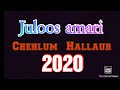 Amari juloos chehlum hallaur 2020  being hussaini
