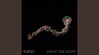 Video thumbnail of "Lotus - For the Summertime"