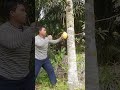 yang tua sudah habis‼️kita coba yang setengah tua👍👍