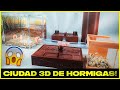 MIS HORMIGAS SE MUDAN A UNA CIUDAD 3D