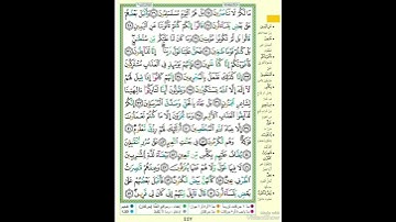 الصفحة ٤٤٧ من القرآن الكريم...القارئ د.بريك سعد بريك