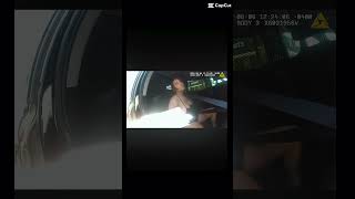 Lady Turns Simple Traffic Violation Into A Felony part 2