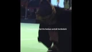story wa pesilat puspa arumsari psht seni jurus tunggal