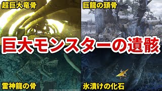 【歴代モンハン】ヤバすぎる巨大モンスターの遺骸まとめ【ゆっくり解説】