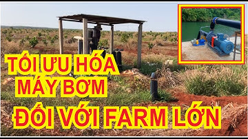 Cách tối ưu hóa bơm nước cho hệ thống tưới có diện tích lớn
