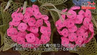 2021水引アート展示会　石楠花、紫陽花、鯉、ぼたん　他