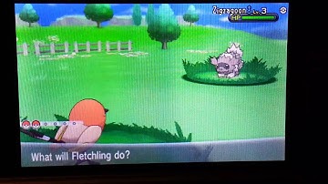 Shiny Fletchling Pokemon X (Via Masuda Method)