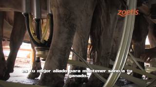 Con Zoetis® confía en los que saben de vacunas.