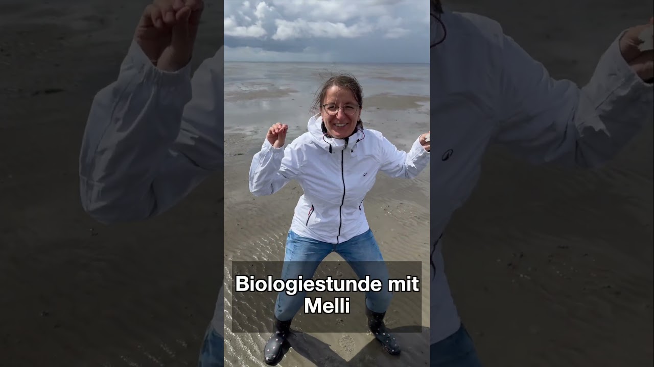 ⁣Logbuch 10: Dinge, die wir tun, wenn wir NICHT segeln… 🤪🚤
