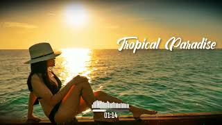DJ GROSSU _ Tropical Paradise | Amazing Vibe Sea | Acordion & Flute | Official Song