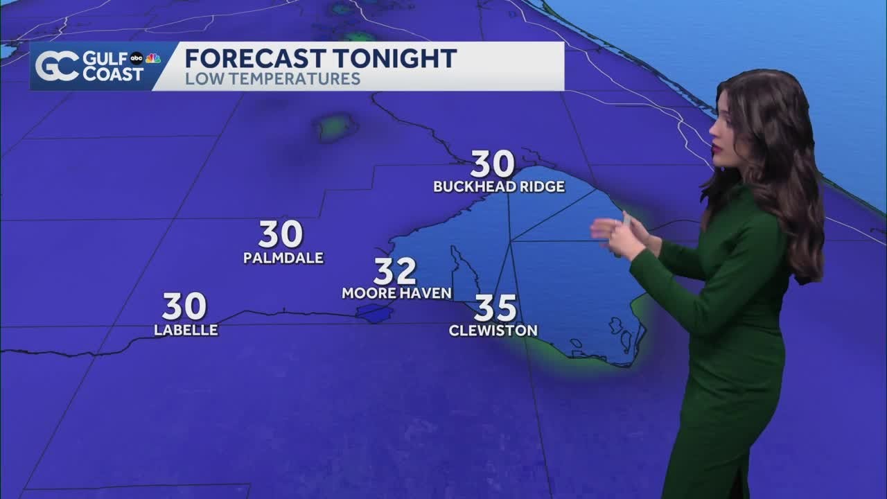 Freeze warnings for the Gulf Coast Monday night and Tuesday morning ...