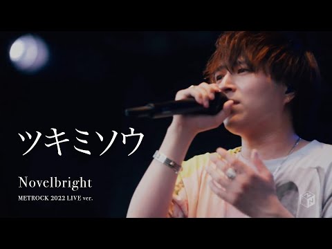 [라이브/가사해석] Novelbright(노벨브라이트) - 달맞이꽃(ツキミソウ)