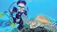 The Fascinating World of Marine Biology ile ilgili video