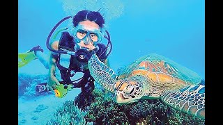 Exploring the Wonders of Marine Biology (3 Minutes Microlearning)