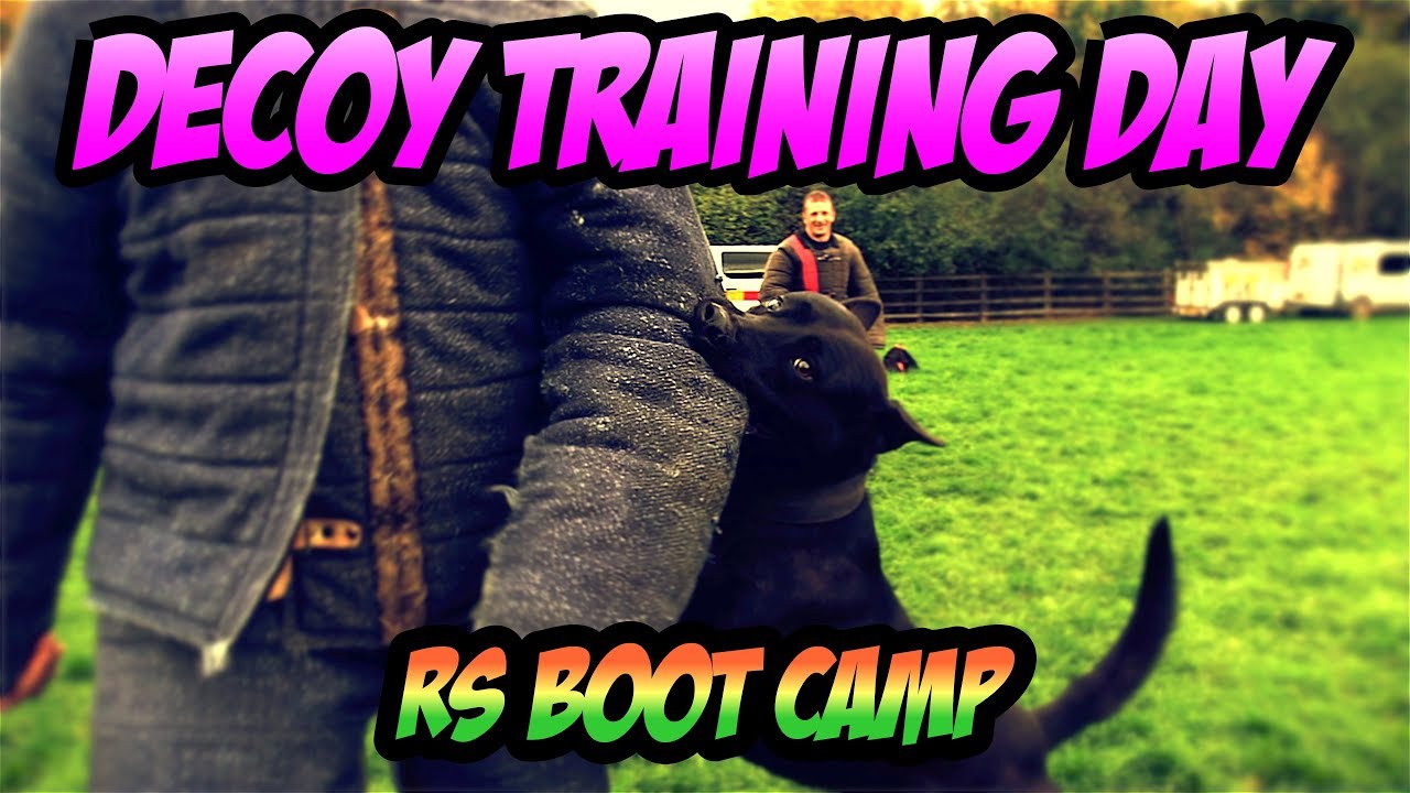 RS BOOTCAMP Rodney Stoute Decoy Training Day 2017 - YouTube
