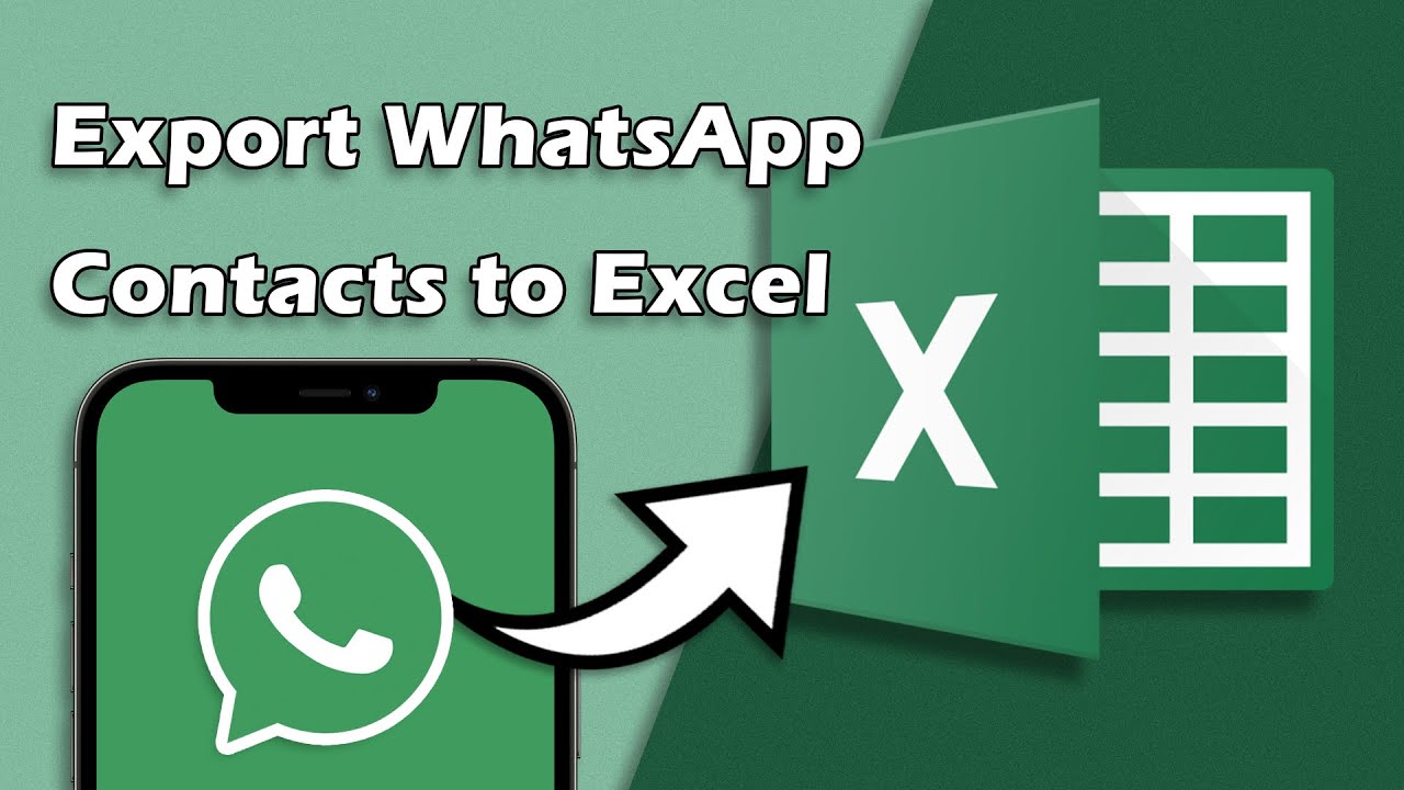 Watsap Exel. Американский ватсап. Как экспортировать whatsapp