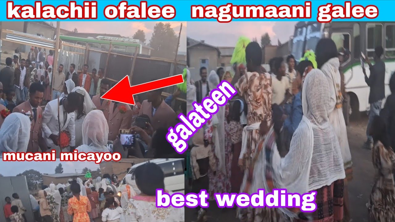 #kalachii kenyaa ofalee nagumaan galee mucaan micayoo fudhatee galee bagaa gamadaan 