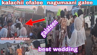 #kalachii kenyaa ofalee nagumaan galee mucaan micayoo fudhatee galee bagaa gamadaan 