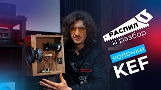 ПИЛИМ и РАЗБИРАЕМ KEF Q150! Что внутри лучших полочников?!