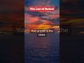 The Law of Nature #TheLawOfNature #MotivationForLife #Inspiration #shorts #nature #viral
