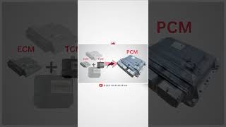 What is PCM #pcm #ecm #tcm #autoelectrician #efiautoelectrician #automobile #automotive