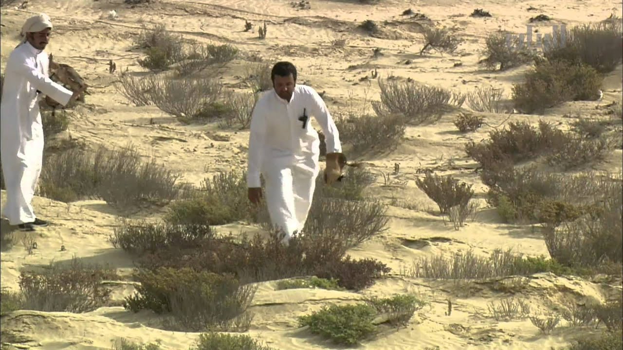 برنامج القلايل - الحلقة السادسة عشر - 17-02-2015