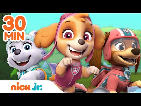 PAW Patrol Hero Pups to the Rescue! w/ Liberty, Skye & Everest | 30 Minute Compilation | Nick Jr.