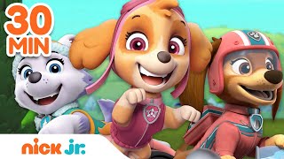 PAW Patrol Hero Pups to the Rescue! w/ Liberty, Skye & Everest | 30 Minute Compilation | Nick Jr. screenshot 2