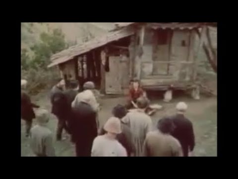 \"შერეკილები\" - ვალების გადაბარება (sherekilebi)